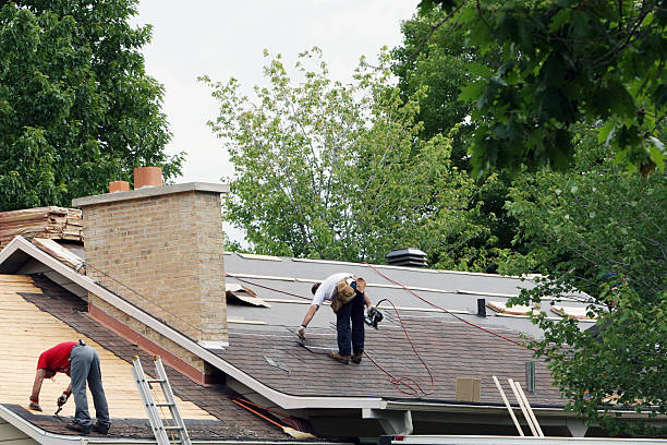 Best Roof Moss and Algae Removal  in Marlton, MD